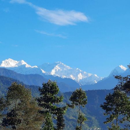 Red Panda Jungle Camp - A Unit Of Davinchi Homes Pvt Ltd Gyalshing Экстерьер фото